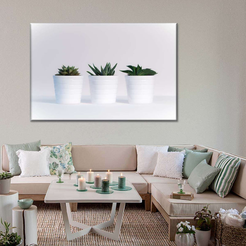 Three Succulents Wall Art