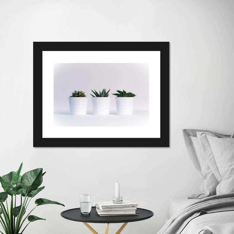 Three Succulents Wall Art