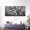 Monochrome Angel Oak Tree Wall Art