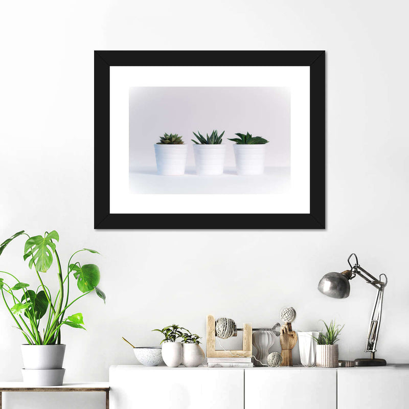 Three Succulents Wall Art