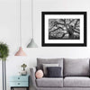 Monochrome Angel Oak Tree Wall Art