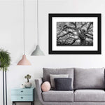 Monochrome Angel Oak Tree Wall Art