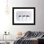 Three Succulents Wall Art