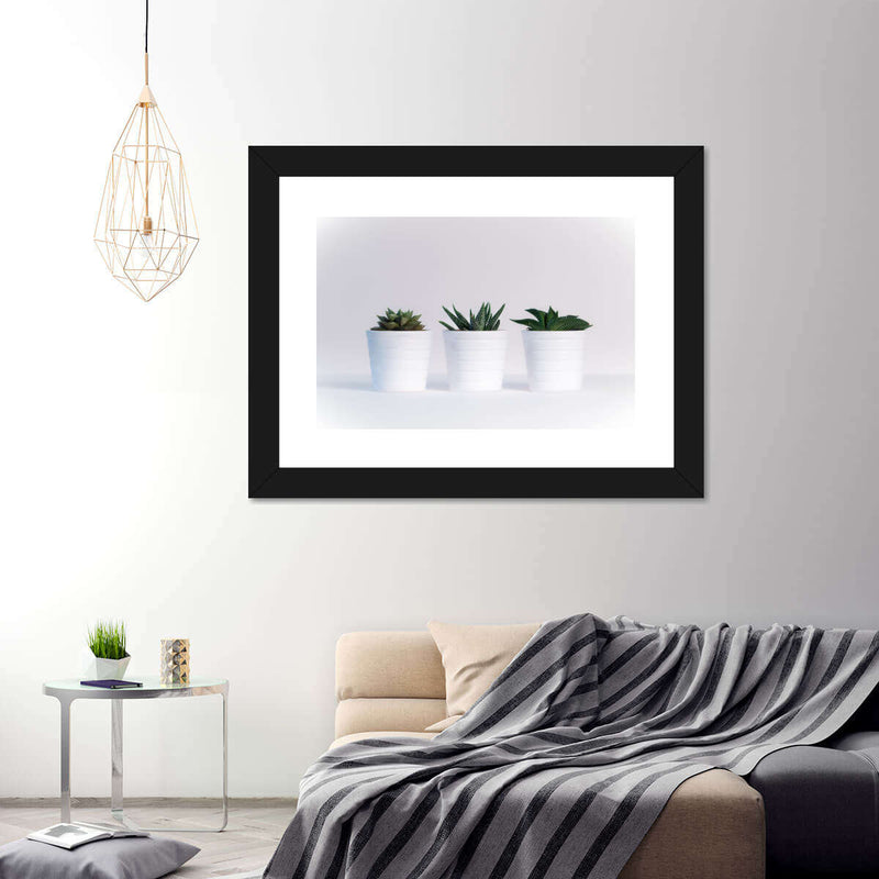 Three Succulents Wall Art