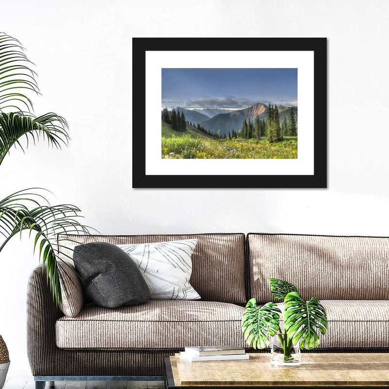 Rocky Mountain National Park Meadow Wall Art