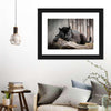 Lounging Black Panther Wall Art
