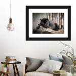 Lounging Black Panther Wall Art