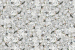 Microscopic View Of Diamond