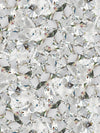 Microscopic View Of Diamond