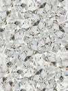 Microscopic View Of Diamond