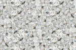 Microscopic View Of Diamond