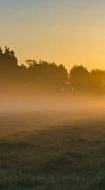 Misty Meadow At Sunrise Wall Art