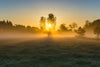 Misty Meadow At Sunrise Wall Art