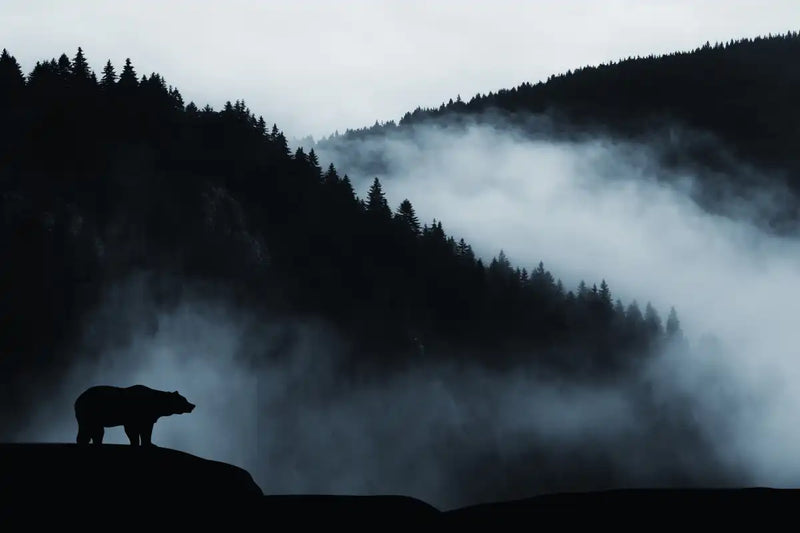 Misty Mountain Bear Wall Art