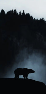Misty Mountain Bear Wall Art