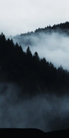Misty Mountain Bear Wall Art