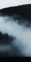 Misty Mountain Bear Wall Art