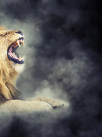 Misty Wild Lion Wall Art