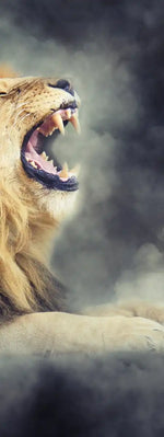 Misty Wild Lion Wall Art