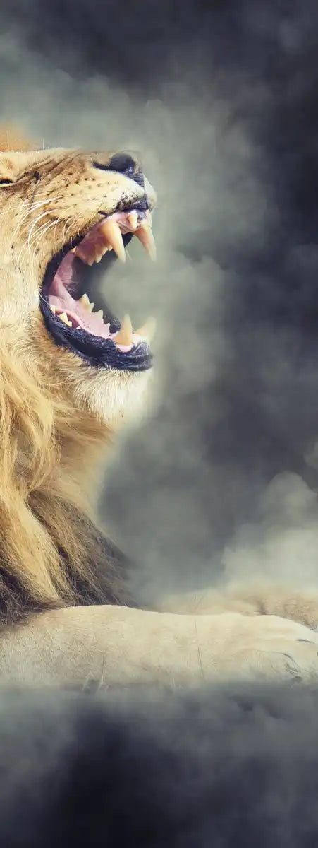 Misty Wild Lion Wall Art