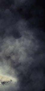 Misty Wild Lion Wall Art