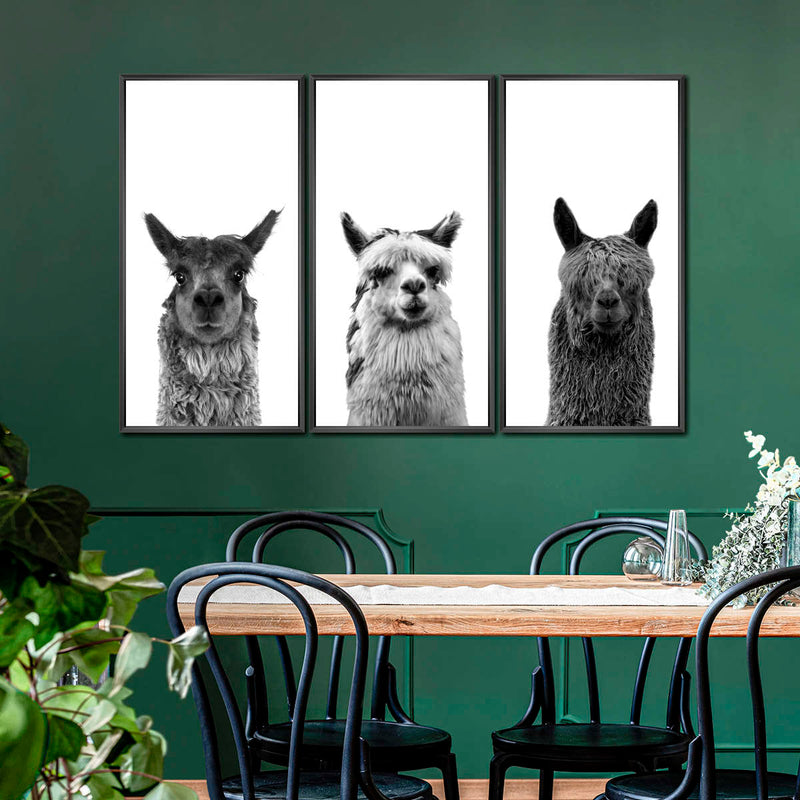 Trio Alpaca Wall Art