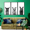 Trio Alpaca Wall Art