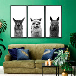 Trio Alpaca Wall Art