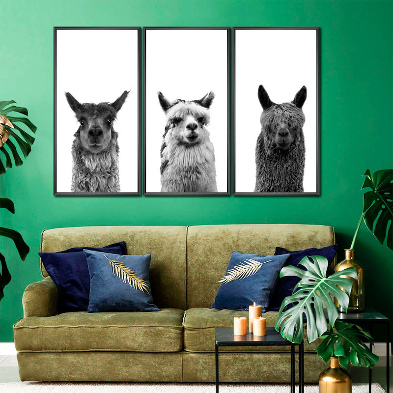 Trio Alpaca Wall Art