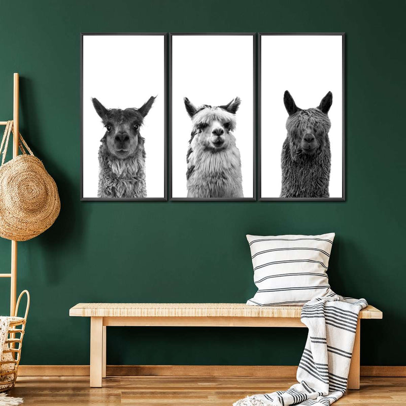 Trio Alpaca Wall Art