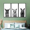 Trio Alpaca Wall Art