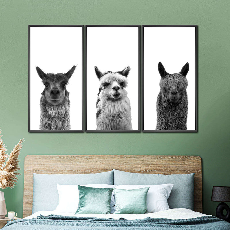 Trio Alpaca Wall Art