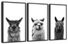 Trio Alpaca Wall Art