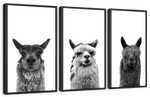 Trio Alpaca Wall Art