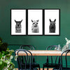 Trio Alpaca Wall Art
