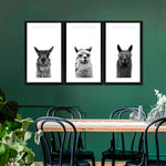 Trio Alpaca Wall Art