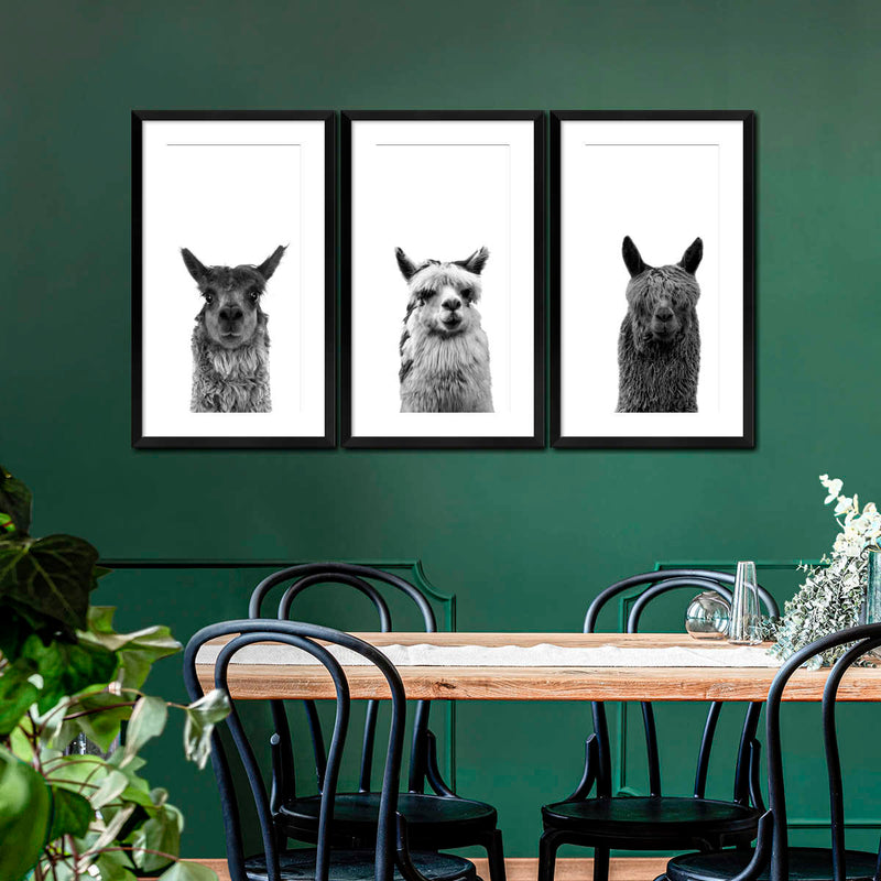 Trio Alpaca Wall Art