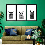 Trio Alpaca Wall Art