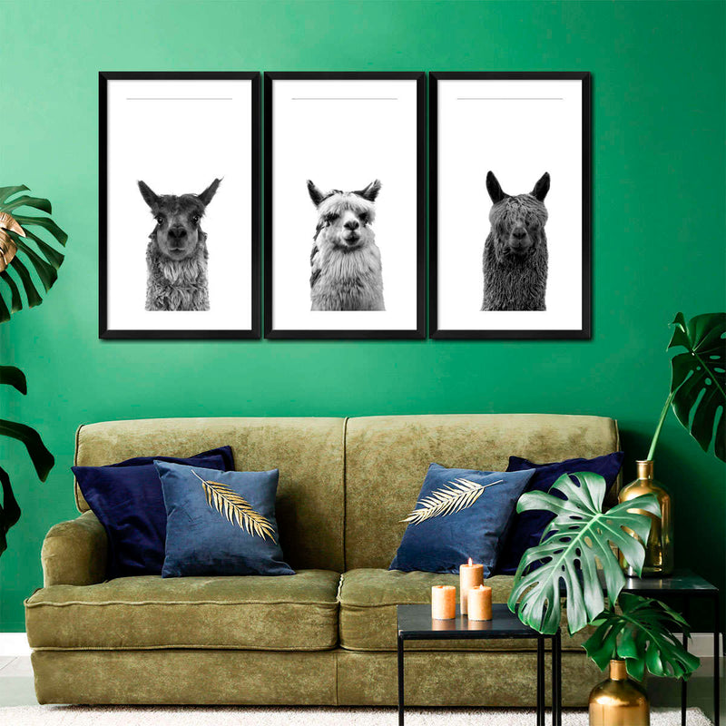 Trio Alpaca Wall Art