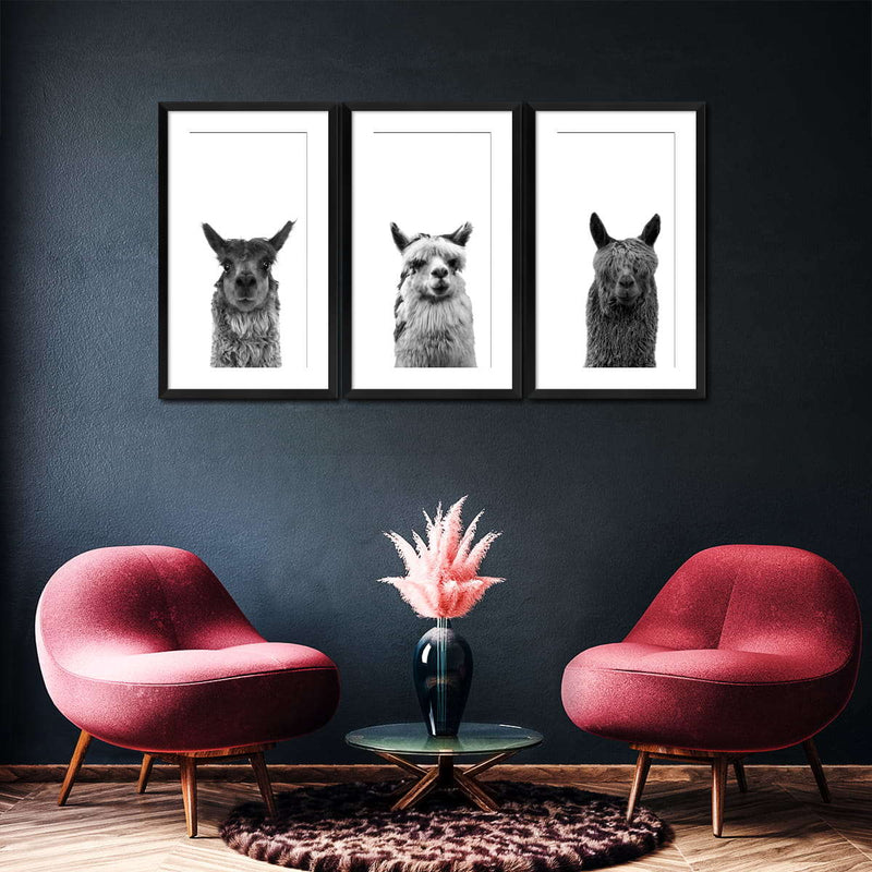 Trio Alpaca Wall Art