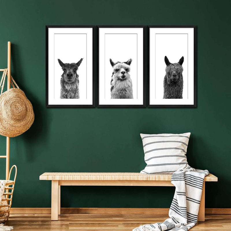 Trio Alpaca Wall Art