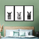 Trio Alpaca Wall Art