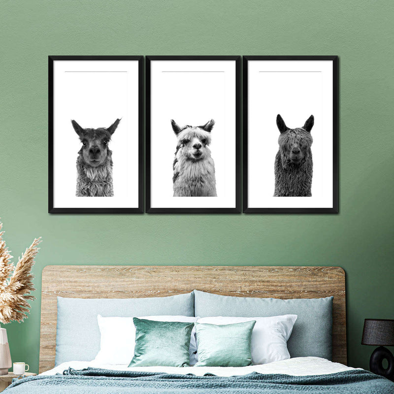 Trio Alpaca Wall Art