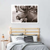 Moose Head Wall Art