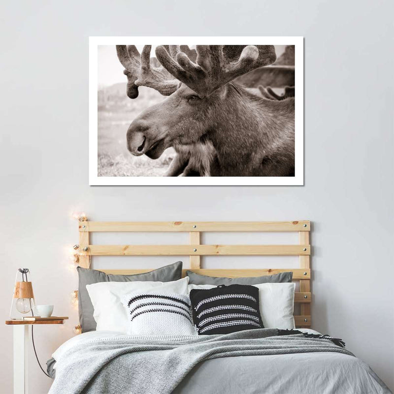 Moose Head Wall Art