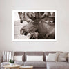 Moose Head Wall Art