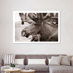 Moose Head Wall Art
