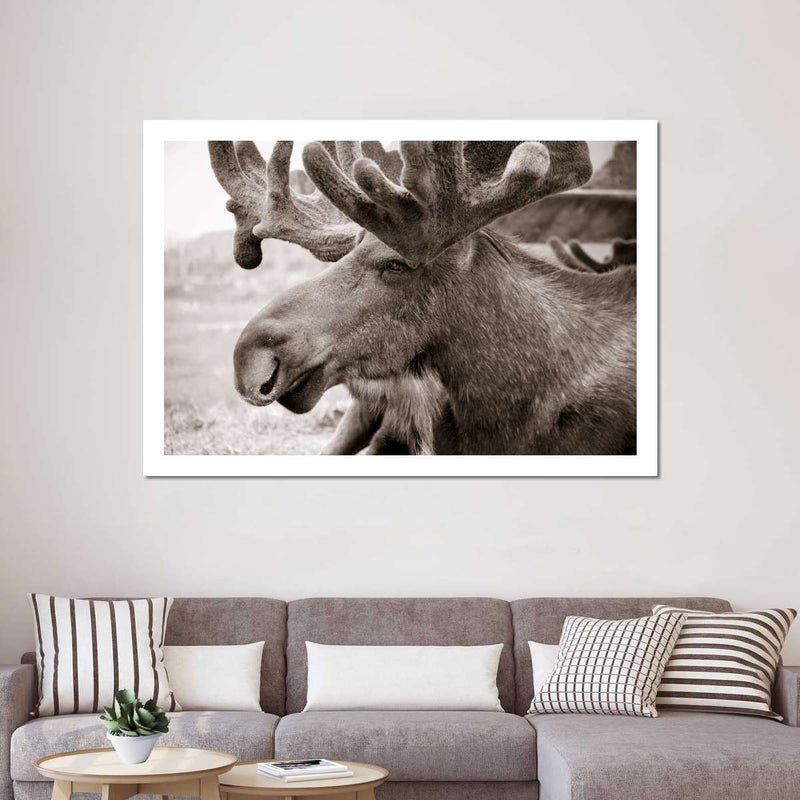 Moose Head Wall Art