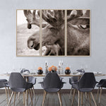 Moose Head Wall Art