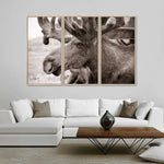 Moose Head Wall Art